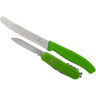 Набор ножей Victorinox Color Twins 1.8901.L4, зелёный